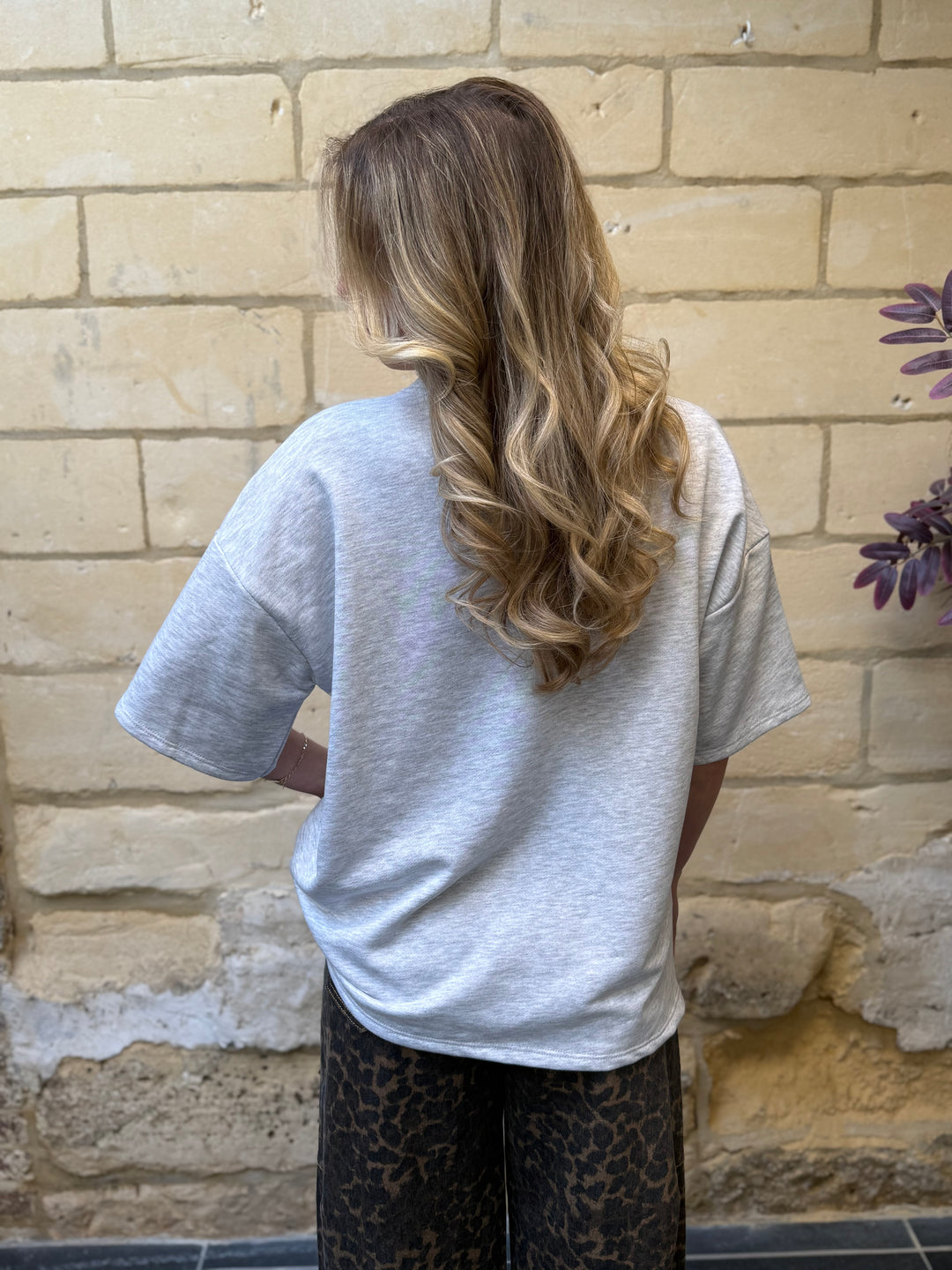 T-shirt Sweater Bo Grijs